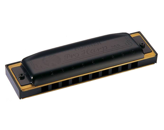 Armónica Diatónica Hohner Pro Harp MS 562/20 E 20