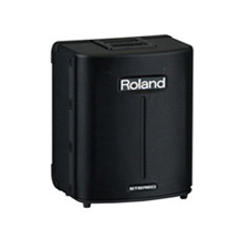 Roland BA330 Active Speaker