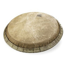 Remo M71175F6 Natural 11,75" Conga Drumhead