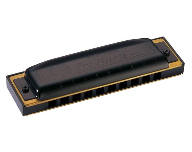 Hohner Pro Harp MS 562/20 G 20 Diatonic Harmonica