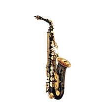Yamaha YAS82ZB Alto Saxophone Lacquered Black