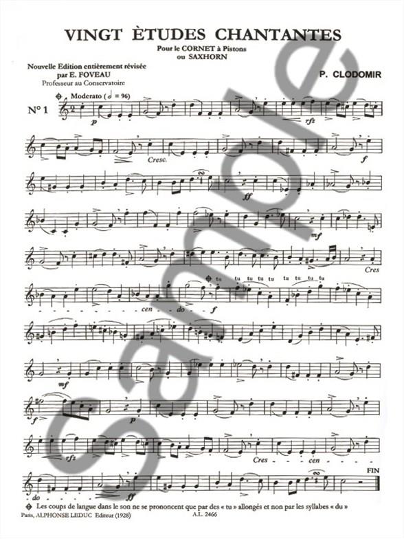 Etudes Chantantes(20)