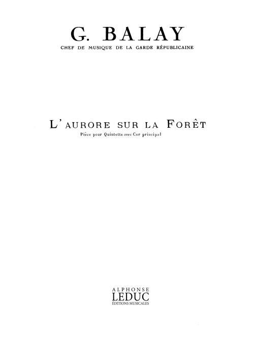 Aurore Sur La Foret