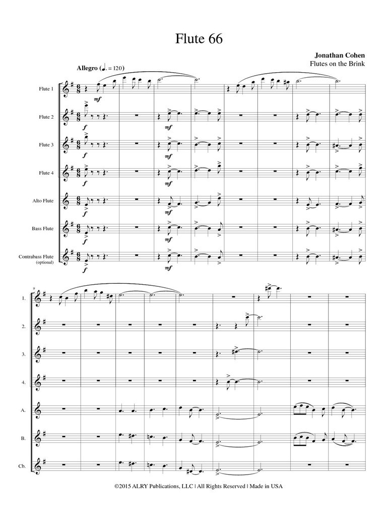 Flute 66