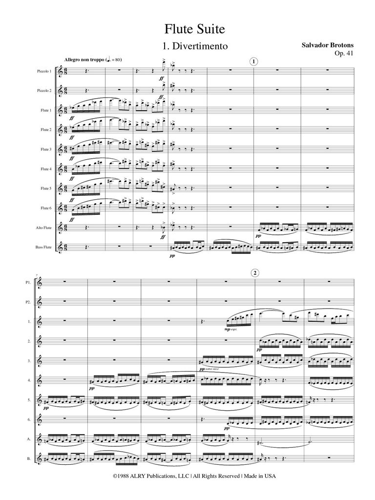 Flute Suite, Opus 41