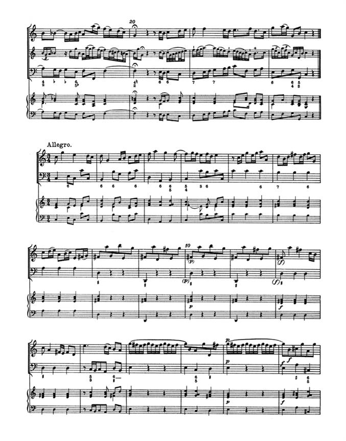 Methodische Sonaten(12) 6 D/C