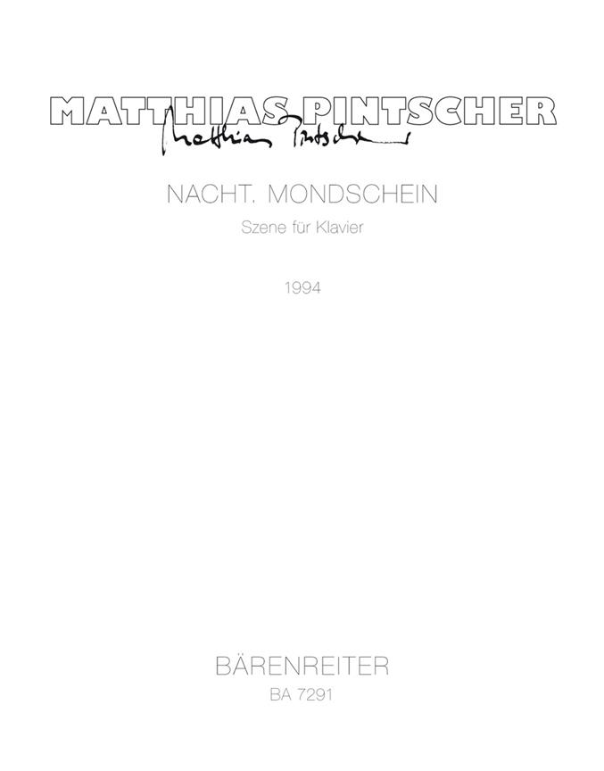 Nacht -Mondschein.