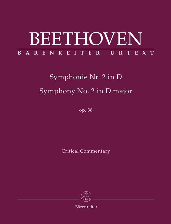 Symphony in D major No. 2 (Critical Commentary)
