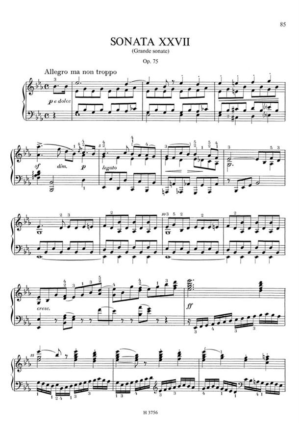 Sonatas XXIV-XXIX