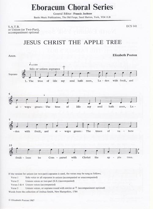 Jesus Christ The Apple Tree