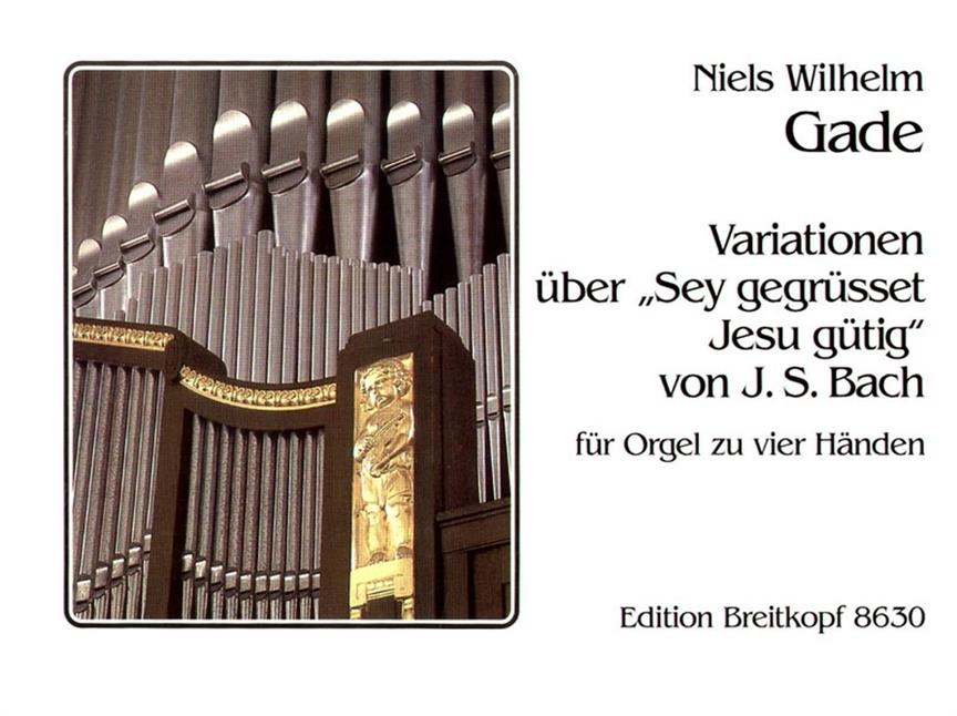Variationen über Sei gegrüsset