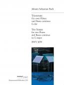 Triosonate G-dur BVW 1039