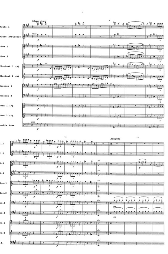 Fledermaus Ensemble