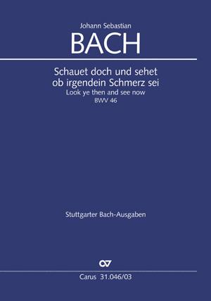 Schauet doch und sehet, ob irgend ein Schmerz sei