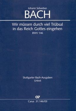 Wir müssen durch viel Trübsal