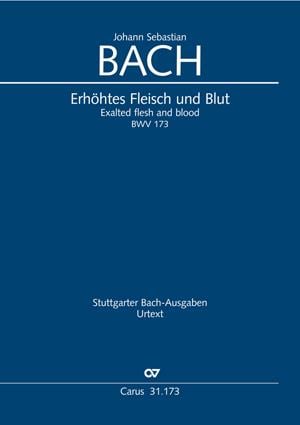 Erhöhtes Fleisch und Blut