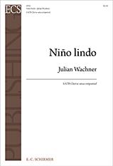 NiÃ±o lindo
