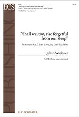 Shall we, too, rise forgetful from our sleep