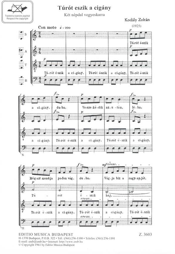 Turot eszik a cigany