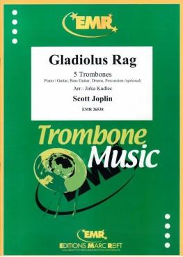 Gladiolus Rag