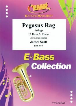 Pegasus Rag