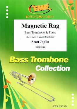 Magnetic Rag