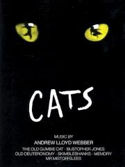 Cats Selection