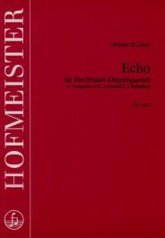 Echo