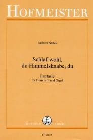 Schlaf wohl, du Himmelsknabe, du