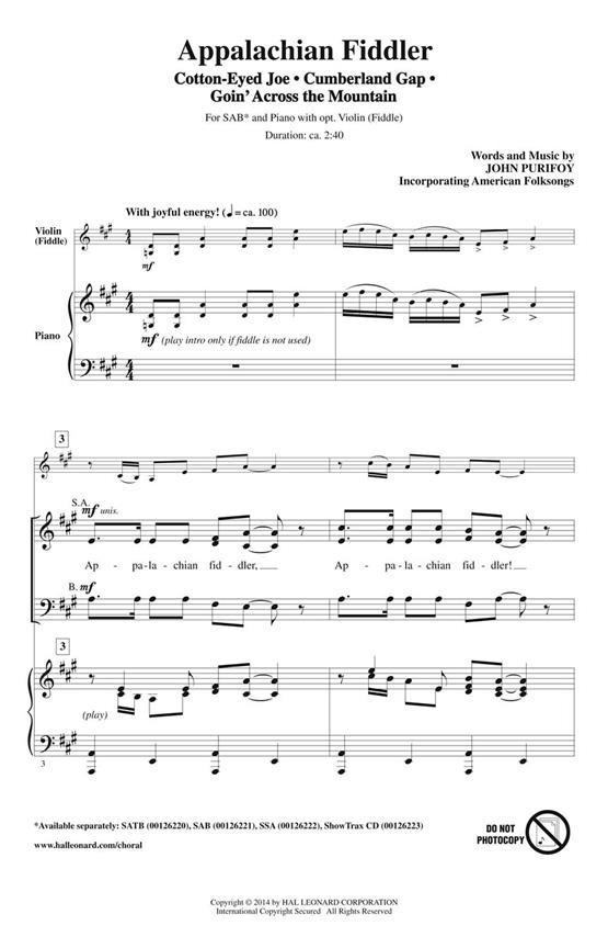 Appalachian Fiddler