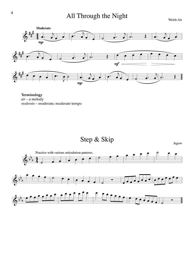 Int. Studies for Developing Artists on the Flute