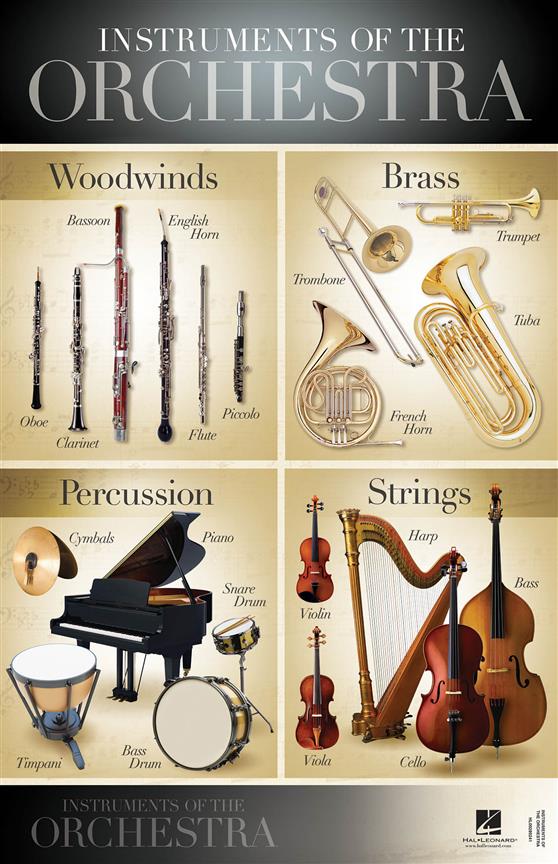 Instruments of the Orchestra