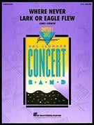 Where Never Lark or Eagle Flew