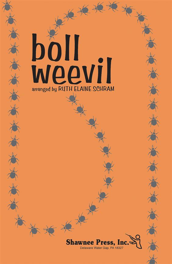 Boll Weevil