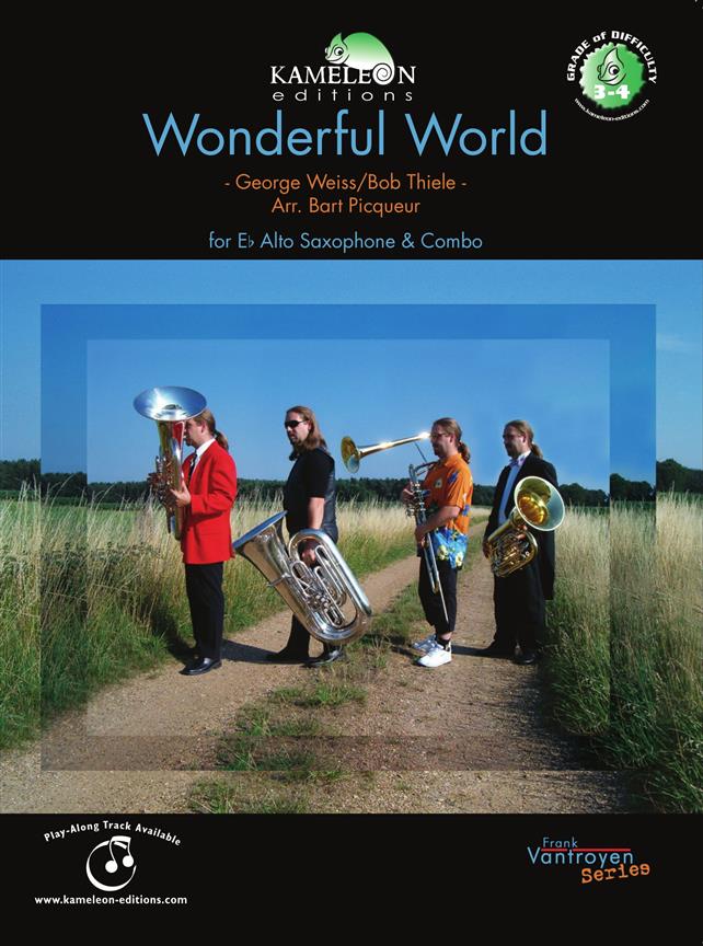 Wonderful World