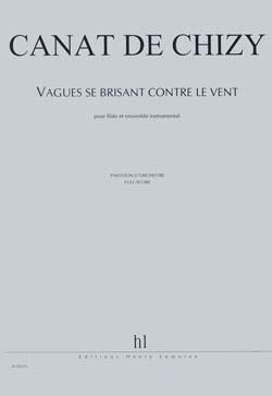 Vagues Se Brisant Contre Le Vent
