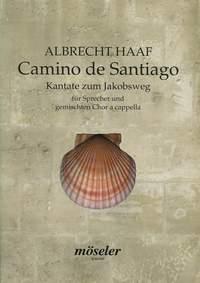 Camino de Santiago