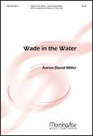 Wade In the Water