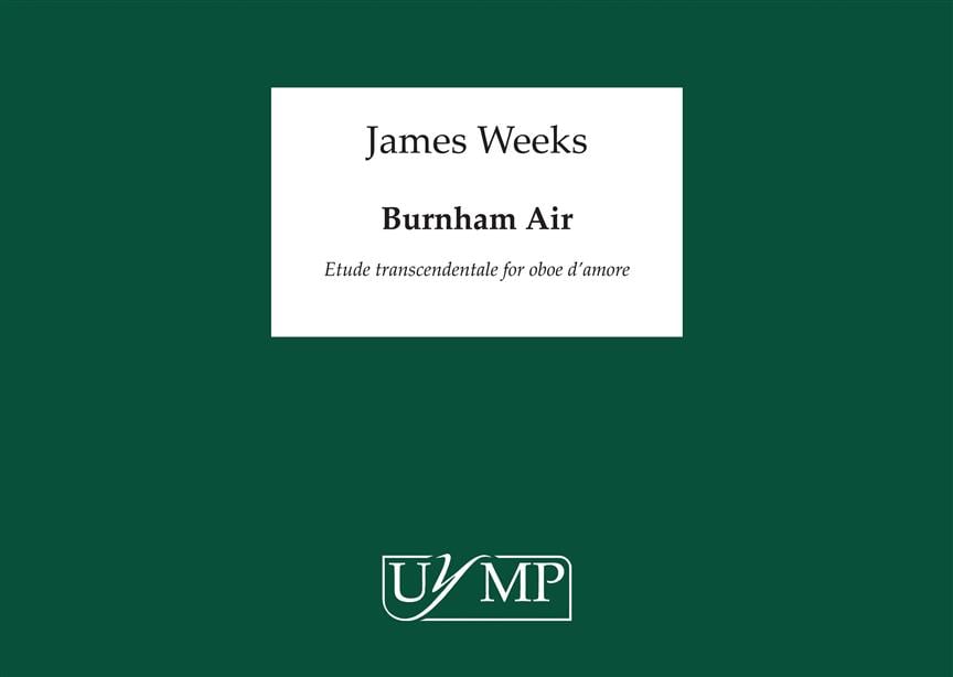 Burnham Air