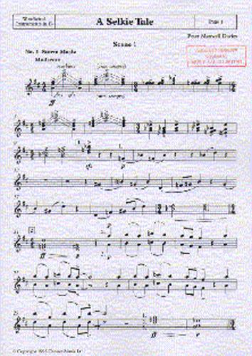 A Selkie Tale - Woodwind Instruments in Bb