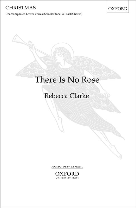 There is no rose (Paperback)