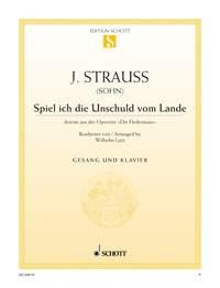 Die Fledermaus