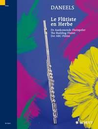 Flutiste En Herbe (German - English - French)