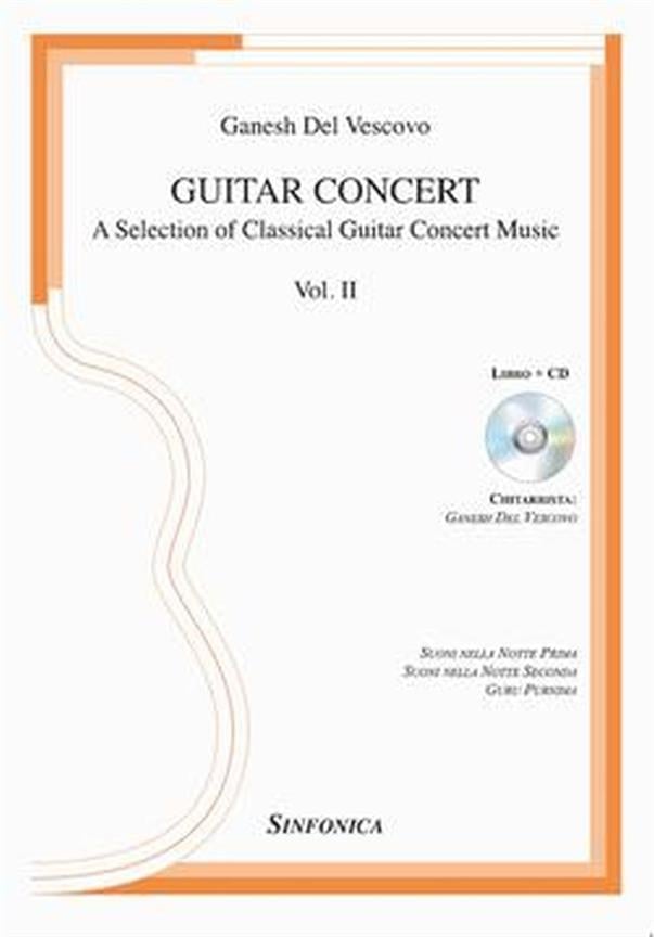 Guitar Concert (2)