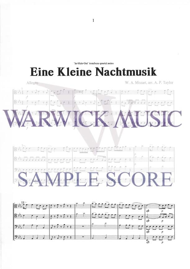 Eine Kleine Nachtmusik