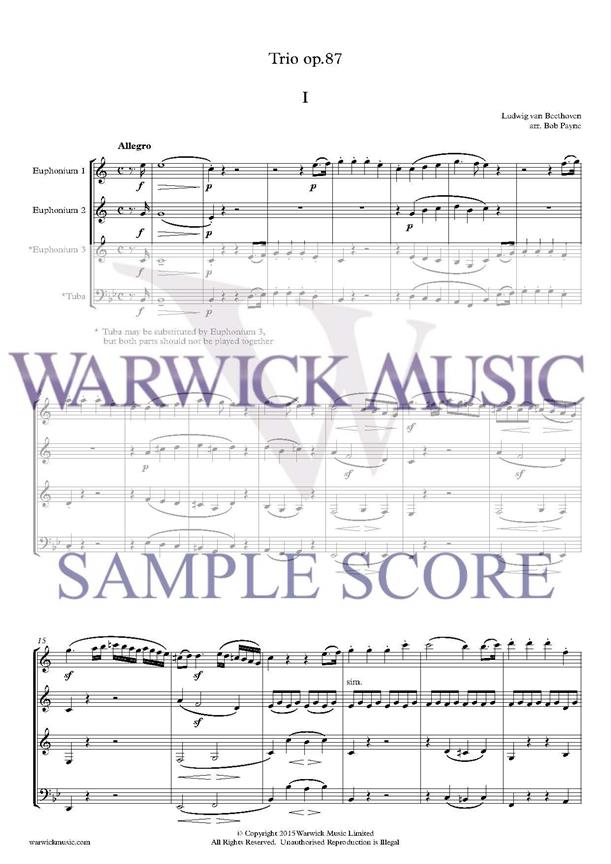 Trio Op.87