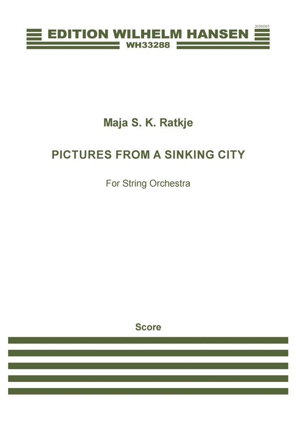 Pictures From A Sinking City