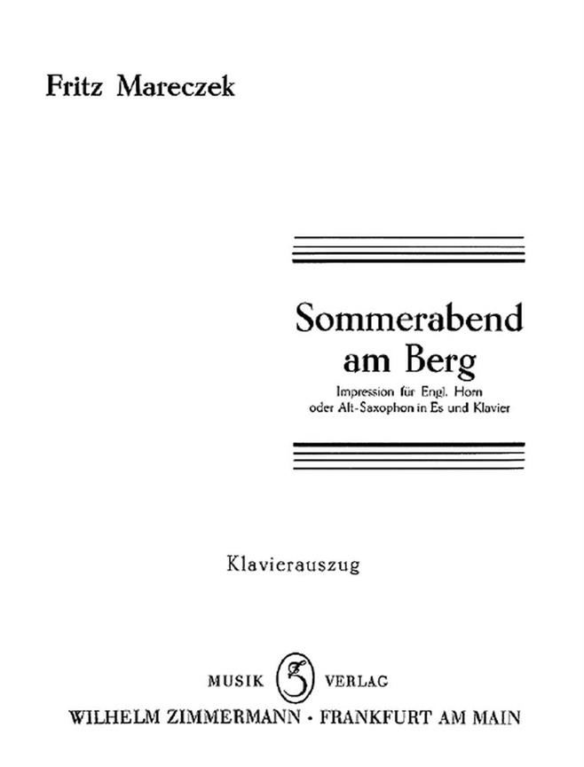 Sommerabend am Berg