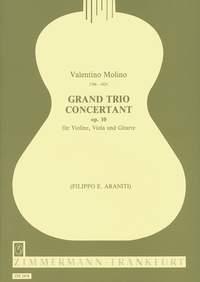 Grand Trio concertant op. 10