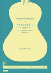 Grand Trio op. 15